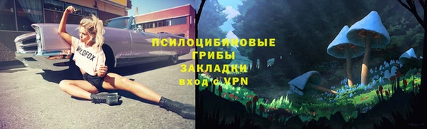 амф Балахна