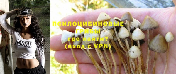 амф Балахна