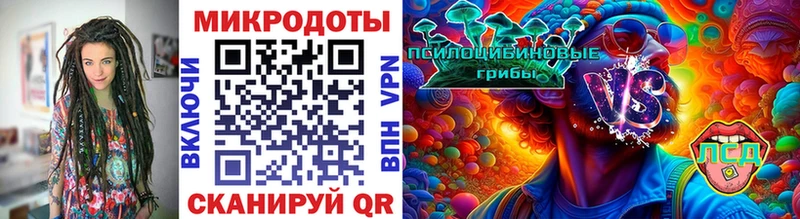 Галлюциногенные грибы Psilocybe  хочу   Новоаннинский 